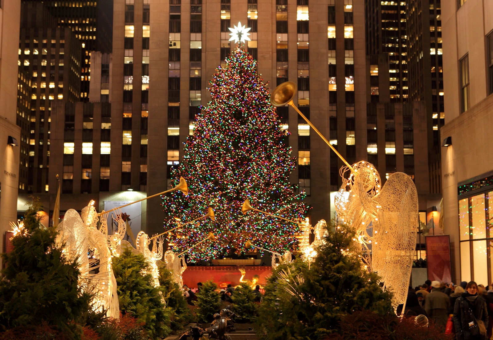 New York City 047